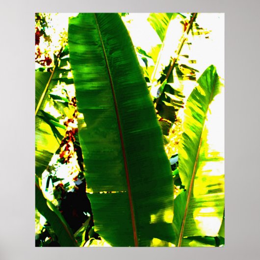 Palm Watercolor Poster (Vorne)