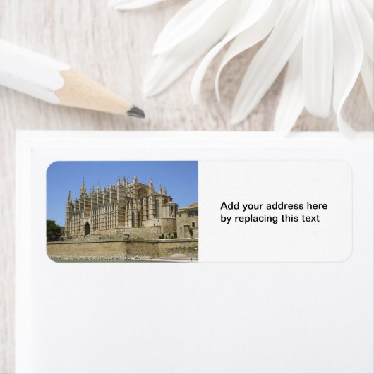 Palma Cathedral (Insitu)