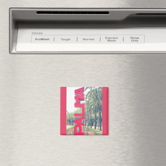 Palma Magnet (In Situ (Geschirrspüler))