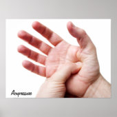 Palmakudruck Poster (Vorne)