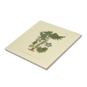 Palmated Violet Blue Illustration Fliese (Seite)