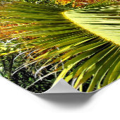 PalmbaumbaumBlätter und Blume Poster (Ecke)