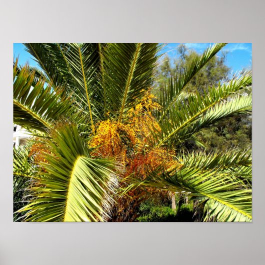PalmbaumbaumBlätter und Blume Poster (Vorne)