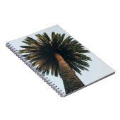 Palmbaumfotografie Notizblock (Rechte Seite)