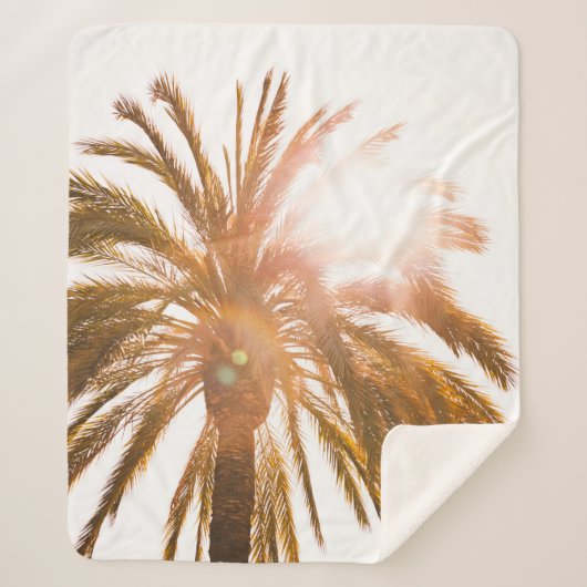 Palmbaumfotografie Sherpadecke (Vorderseite)