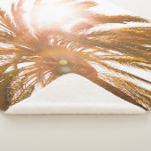 Palmbaumfotografie Sherpadecke (3/4)