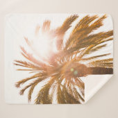 Palmbaumfotografie Sherpadecke (Vorderseite (Horizontal))