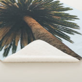 Palmbaumfotografie Sherpadecke (3/4)