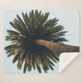 Palmbaumfotografie Sherpadecke (Vorderseite (Horizontal))