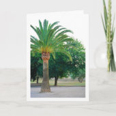Palmbaumportrait Karte (Vorderseite)