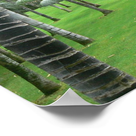 Palmbaumwald Poster (Ecke)