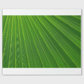 Palmblatt Geschenkpapier (Flach)