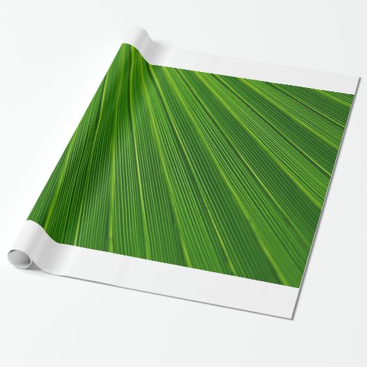 Palmblatt Geschenkpapier (Ungerollt)