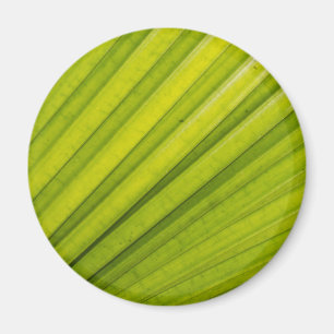Palmblatt Magnet