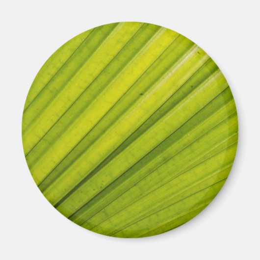 Palmblatt Magnet (Vorne)