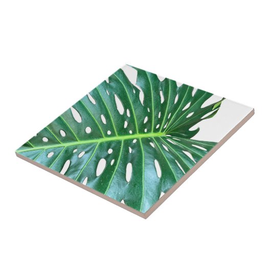 Palmblätterblättern, tropisches Blattwerk, Regenwa Fliese (Seite)