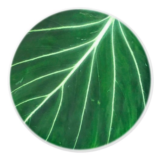 Palmblätterblättern, tropisches Blattwerk, Regenwa Keramikknauf (Vorderseite)