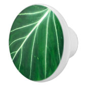 Palmblätterblättern, tropisches Blattwerk, Regenwa Keramikknauf (Rechts)
