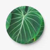 Palmblätterblättern, tropisches Blattwerk, Regenwa Pappteller (Vorderseite)