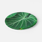 Palmblätterblättern, tropisches Blattwerk, Regenwa Pappteller (Schrägansicht)