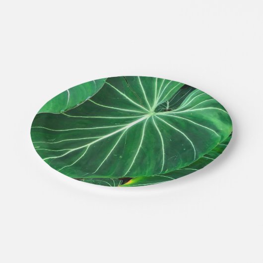 Palmblätterblättern, tropisches Blattwerk, Regenwa Pappteller (Schrägansicht)