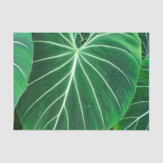 Palmblätterblättern, tropisches Blattwerk, Regenwa Seidenpapier (Vorderseite)