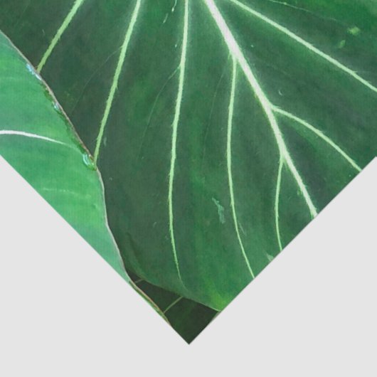 Palmblätterblättern, tropisches Blattwerk, Regenwa Seidenpapier (Ausschnitt)