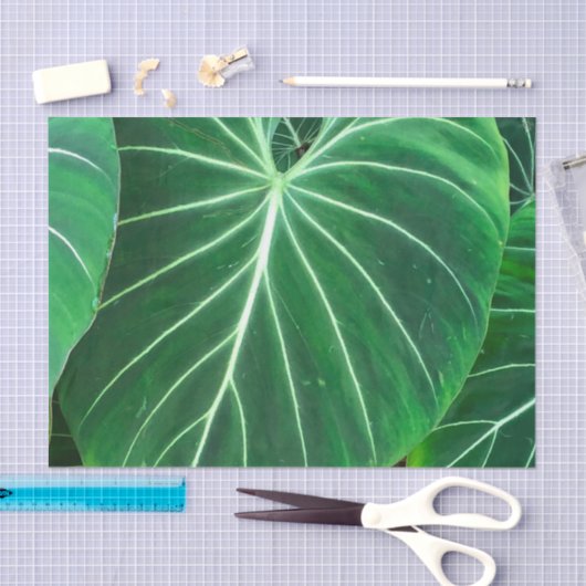 Palmblätterblättern, tropisches Blattwerk, Regenwa Seidenpapier (Handwerk)