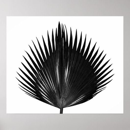 Palmblättrige botanische Pflanze Schwarze Malerei Poster (Vorne)