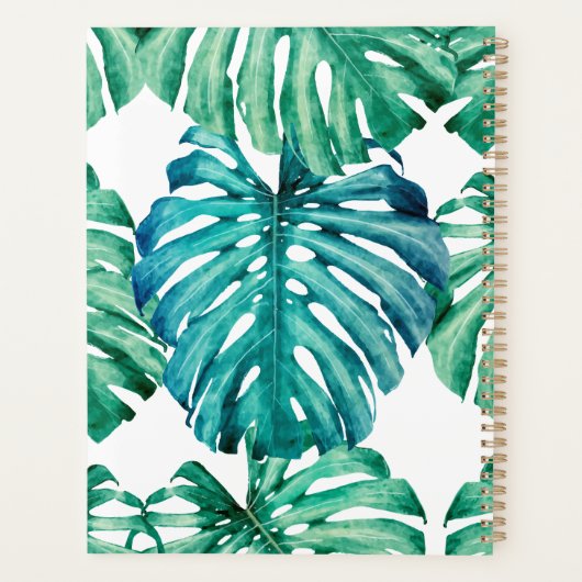 Palmblättriger Stein Planer (Rückseite)