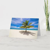 Palme am weißen Sandstrand