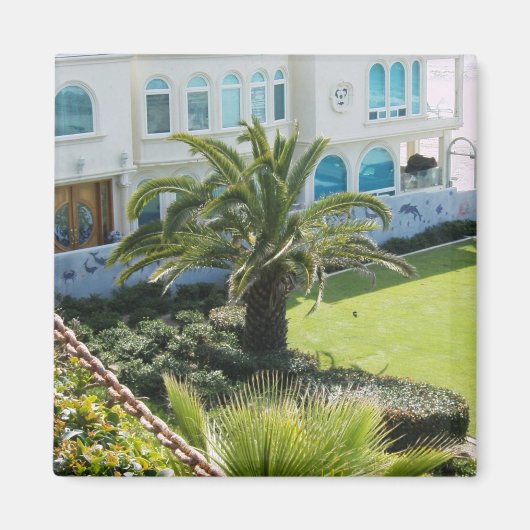 Palme an Oceanside CA Magnet (Vorne)