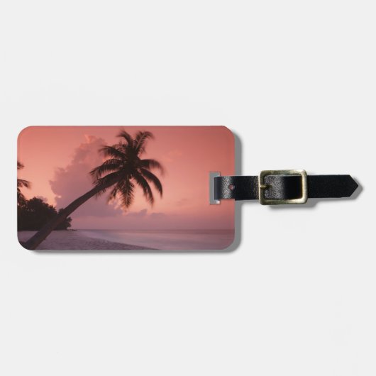 Palme auf dem Strand Gepäckanhänger (Vorderseite horizontal)