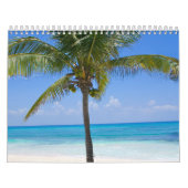 Palme Bahamas Kalender (Titelbild)