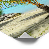 Palme Baum und Poster des Badeortes (Ecke)