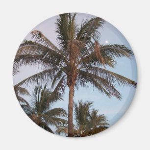 Palme erhält Mooned Magnet
