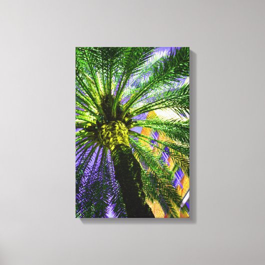 Palme im Abend Leinwanddruck (Vorderseite)