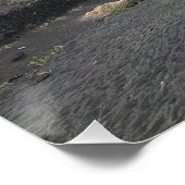 Palme, Lanzarote Poster (Ecke)