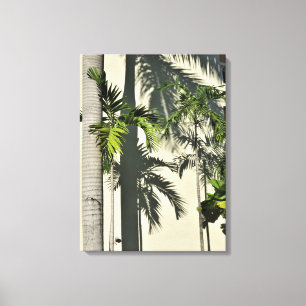 Palme Leinwanddruck