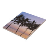 Palme, morgens fliese (Seite)