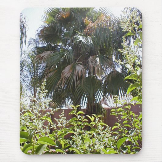 Palme Mousepad (Vorne)