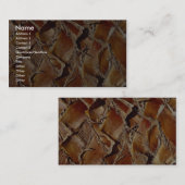 Palme, Nahaufnahme Visitenkarte (Vorne/Hinten)