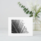 Palme, Schwarzweiss Postkarte (Stehend Vorderseite)