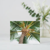 Palme Tree von unten Postkarte (Stehend Vorderseite)