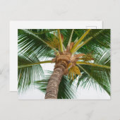 Palme Tree von unten Postkarte (Vorne/Hinten)