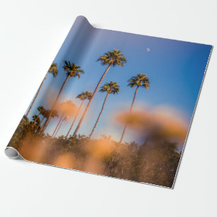 Palme unter blauem Himmel Geschenkpapier
