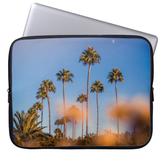 Palme unter blauem Himmel Laptopschutzhülle (Vorderseite)