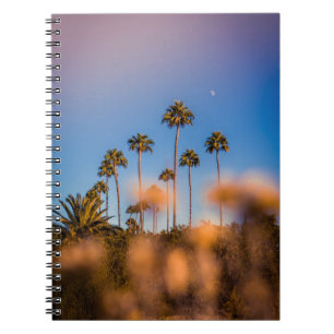 Palme unter blauem Himmel Notizblock