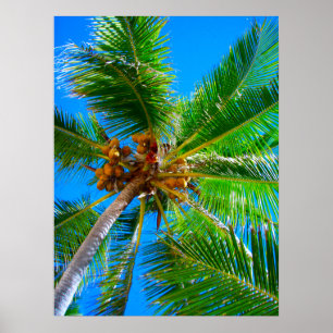 Palme Vanuatu des Plakat-(18" x 24") Poster