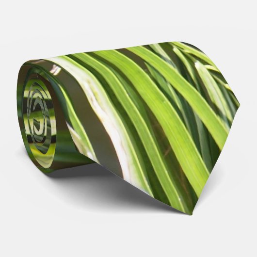 Palme-Wedel-Krawatte Krawatte (Gerollt)